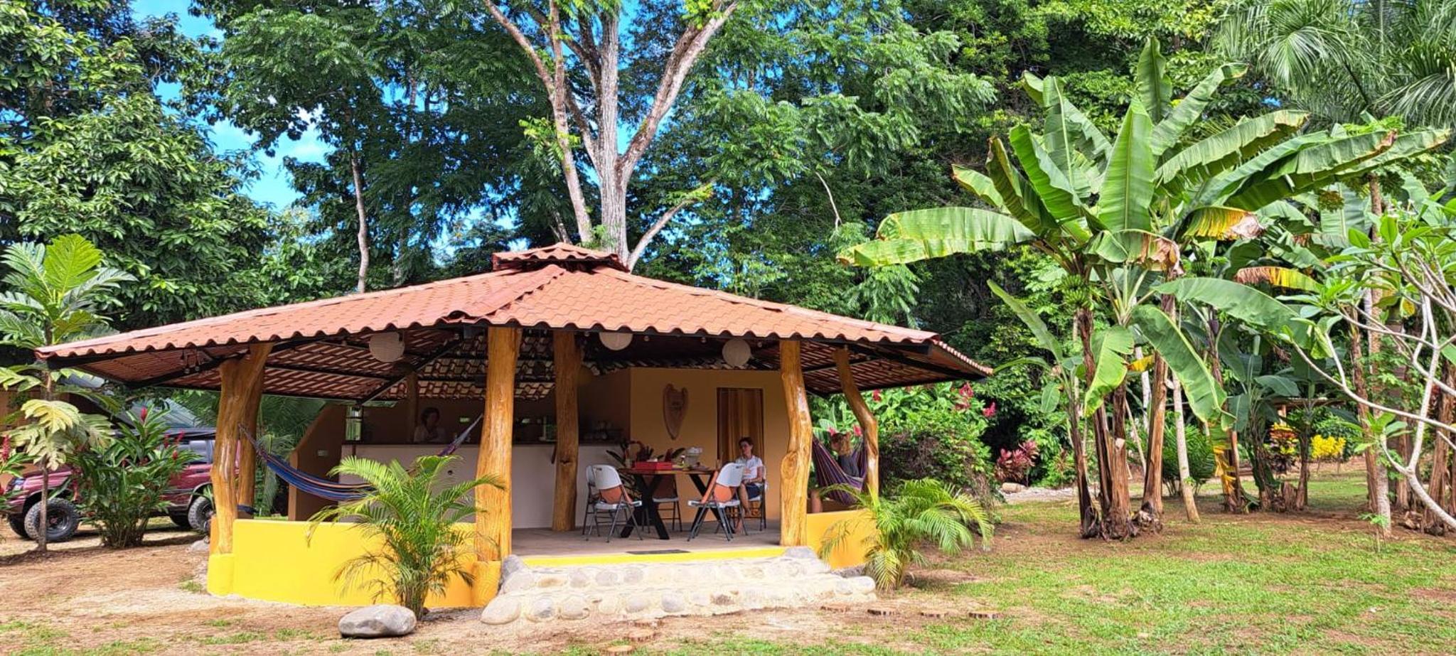 Terra NaturaMa - off grid living in the jungle