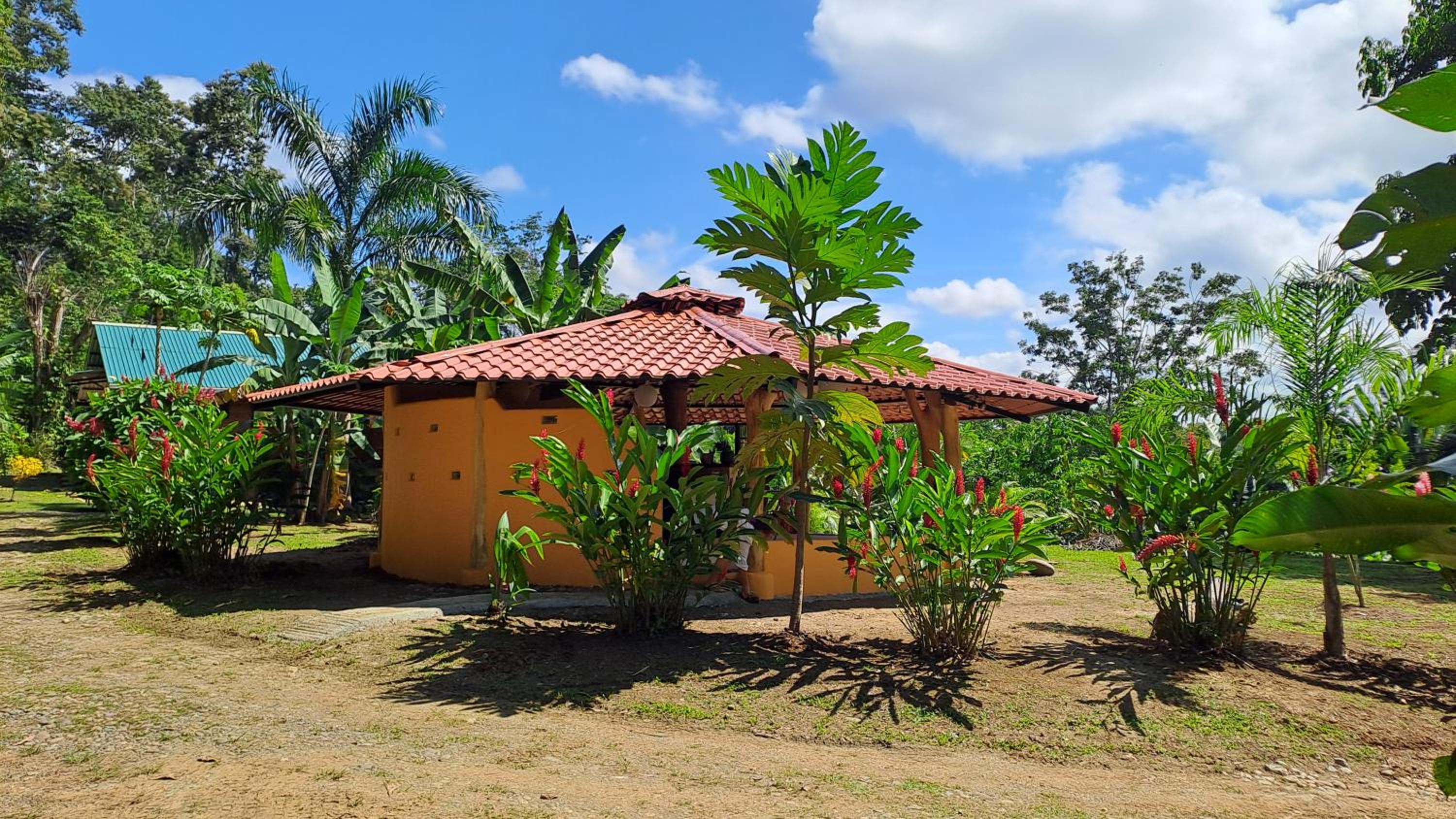 Terra NaturaMa - off grid living in the jungle