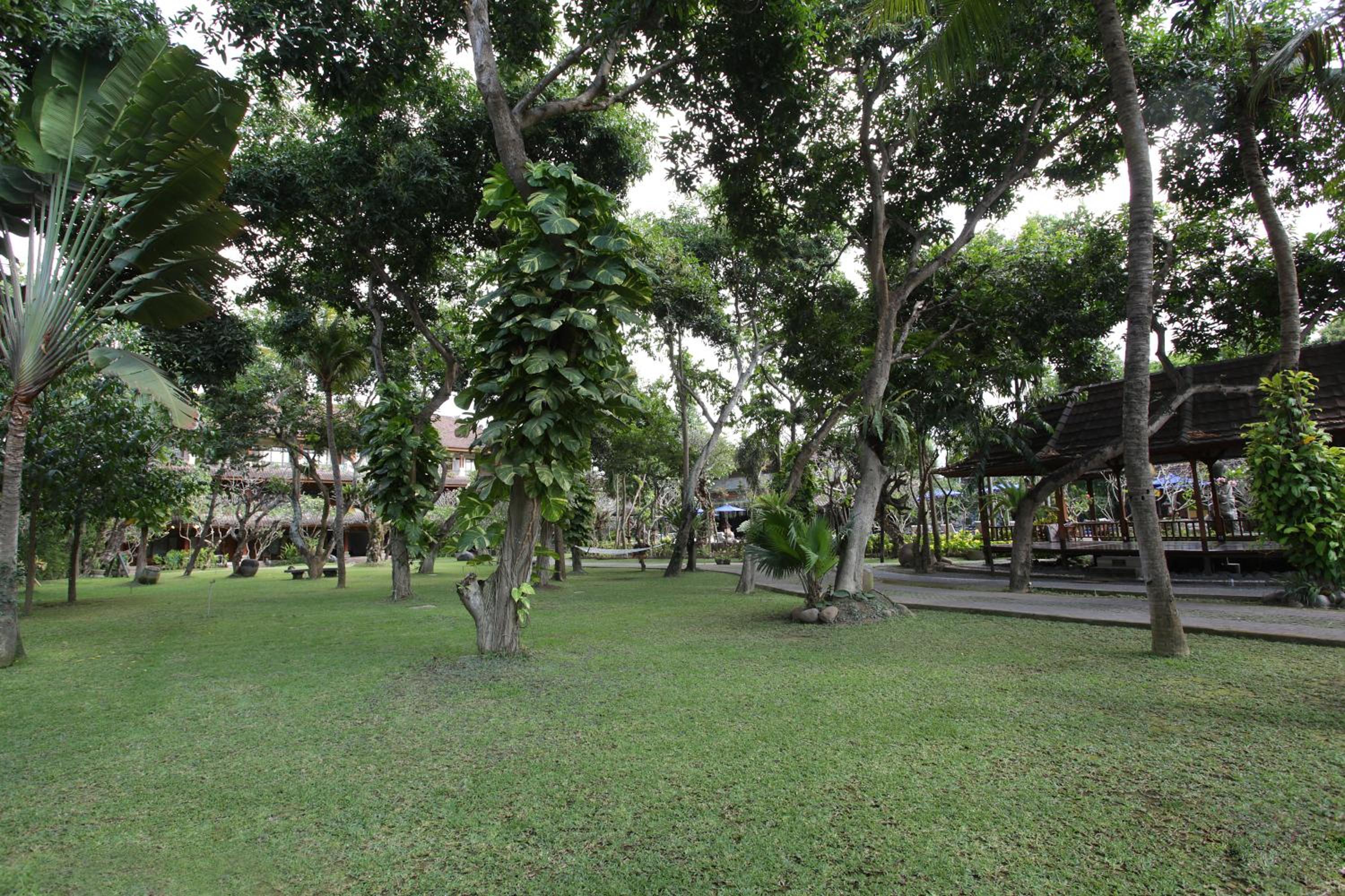 Photo 43