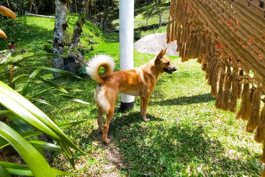 Sítio/ Casa inteira, Campos do Jordão