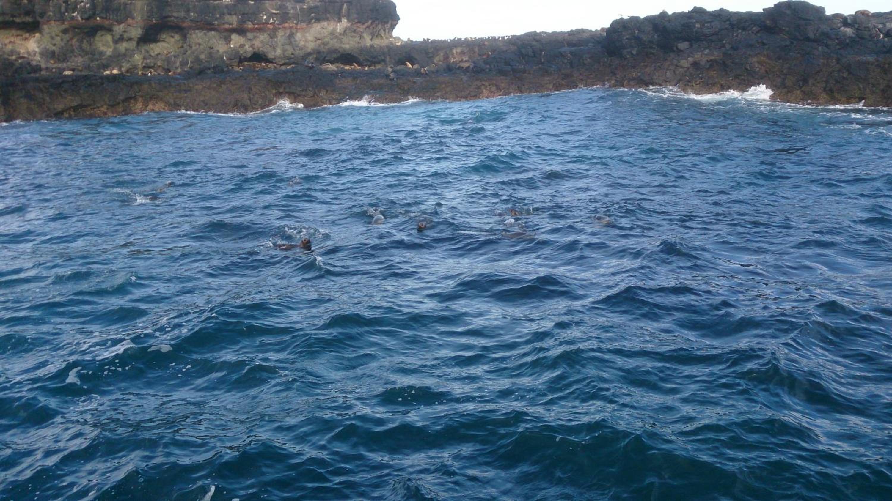 Phillip Island Cottages