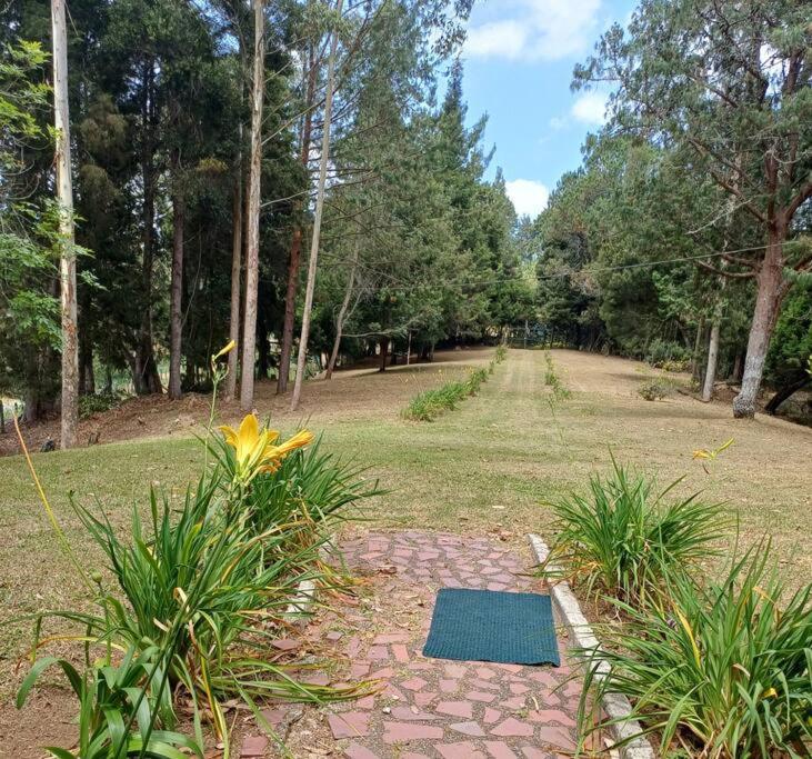 Finca Cottage Guarne, nearby Arvi and Santa Elena