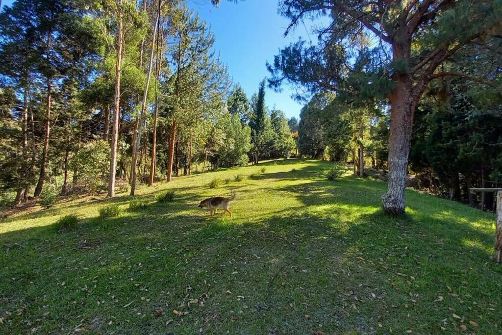 Finca Cottage Guarne, nearby Arvi and Santa Elena