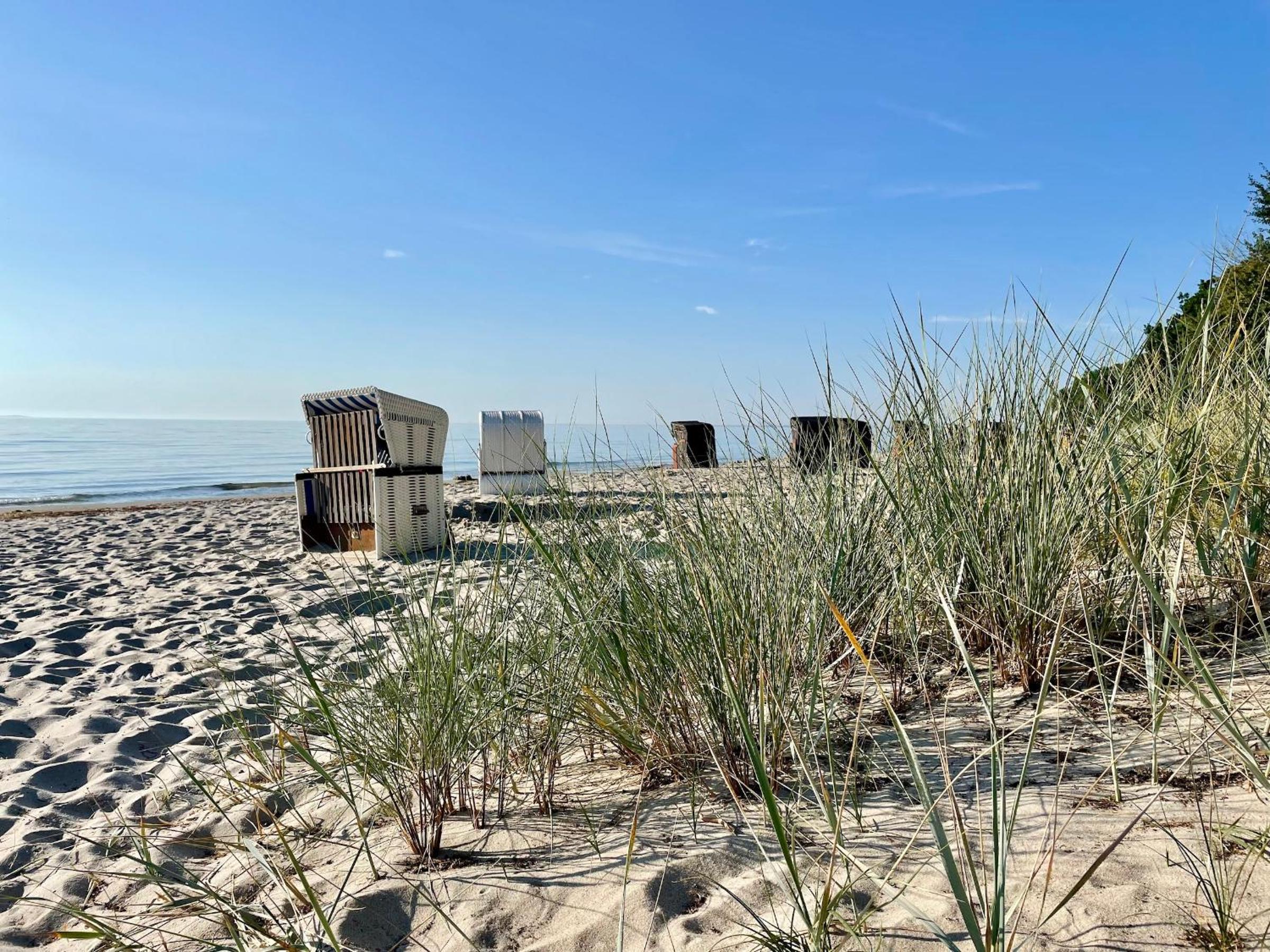Ferienanlage Eldena Ferienwohnung 12