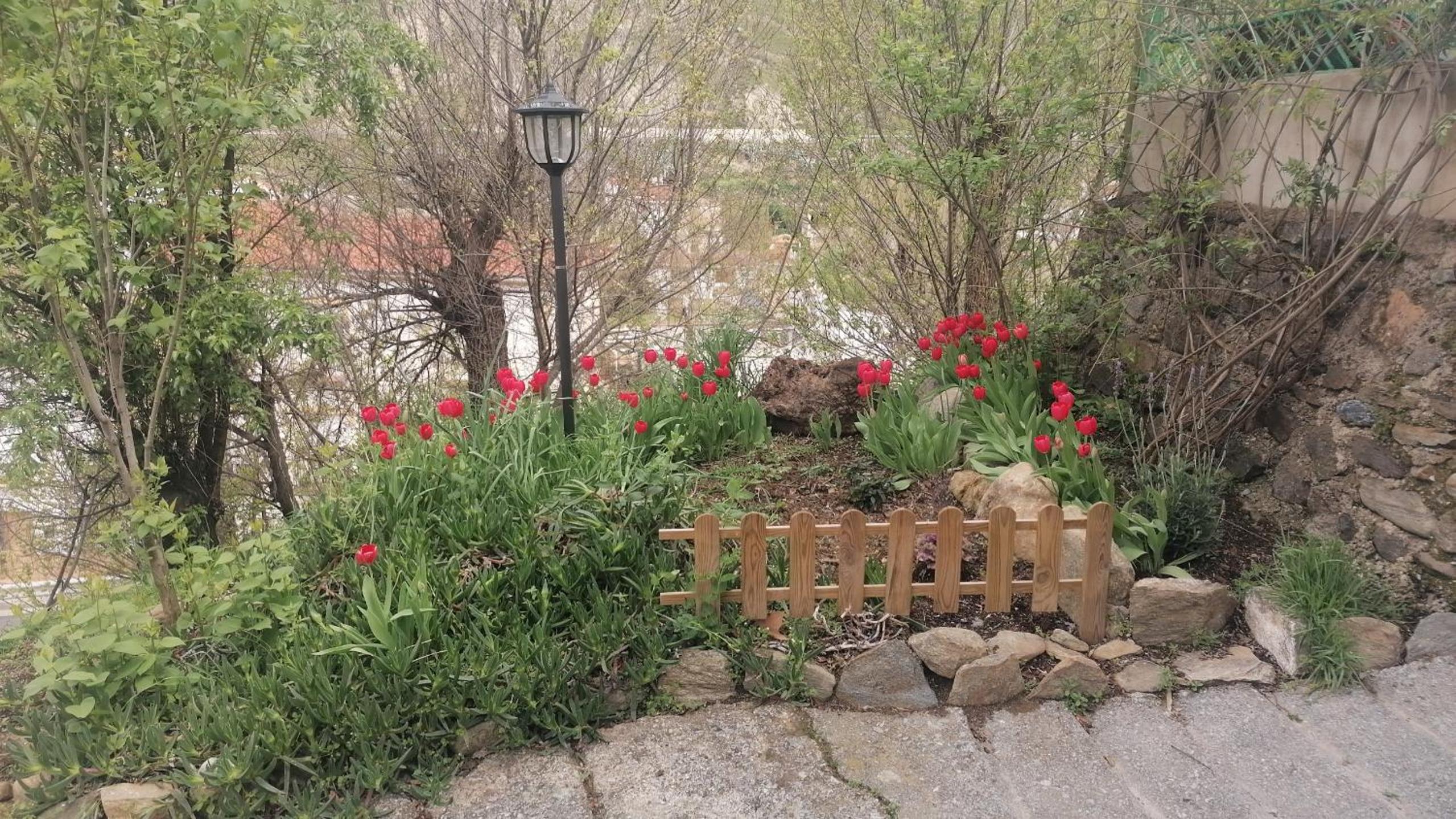 Photo 26