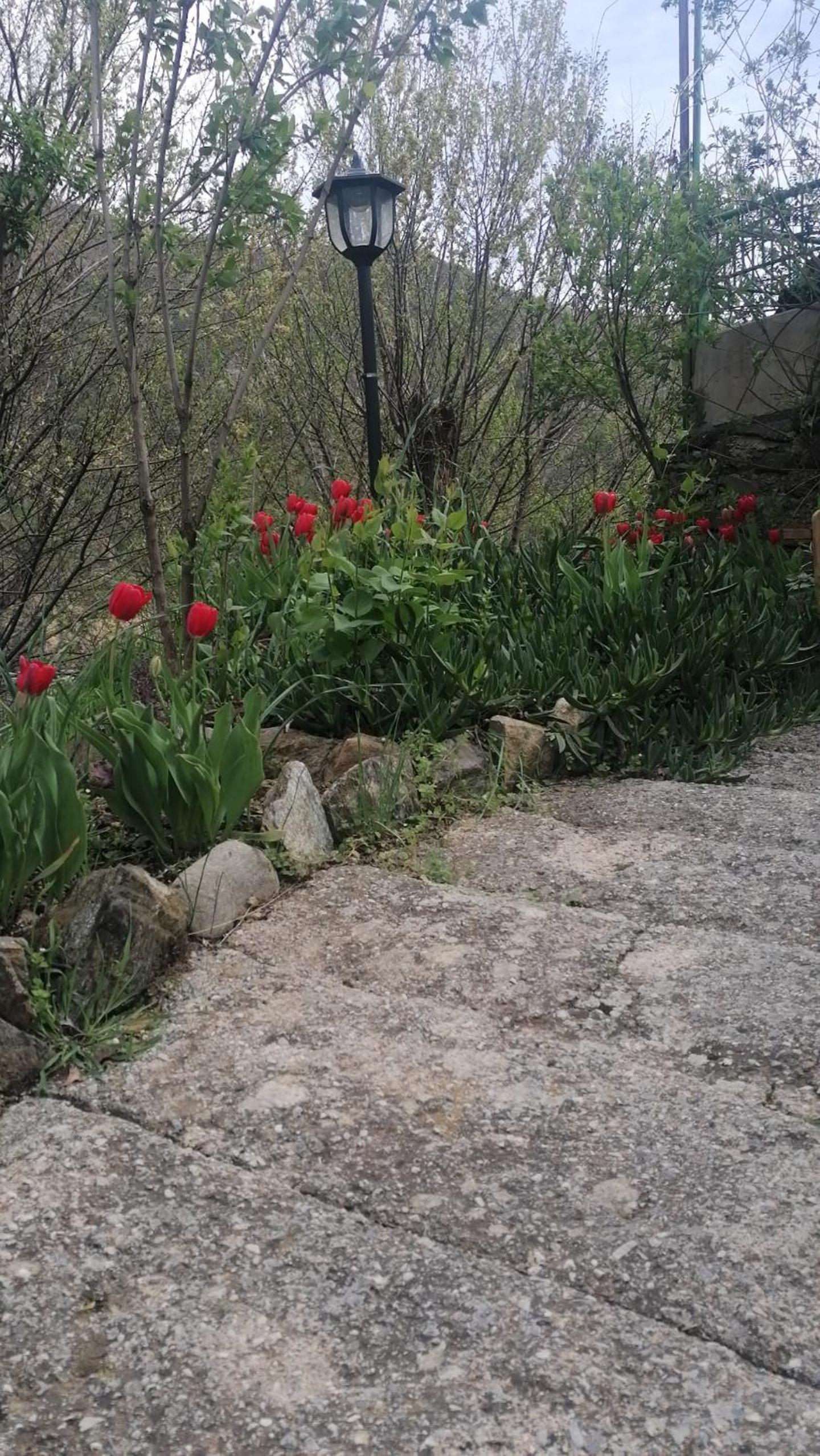Photo 27