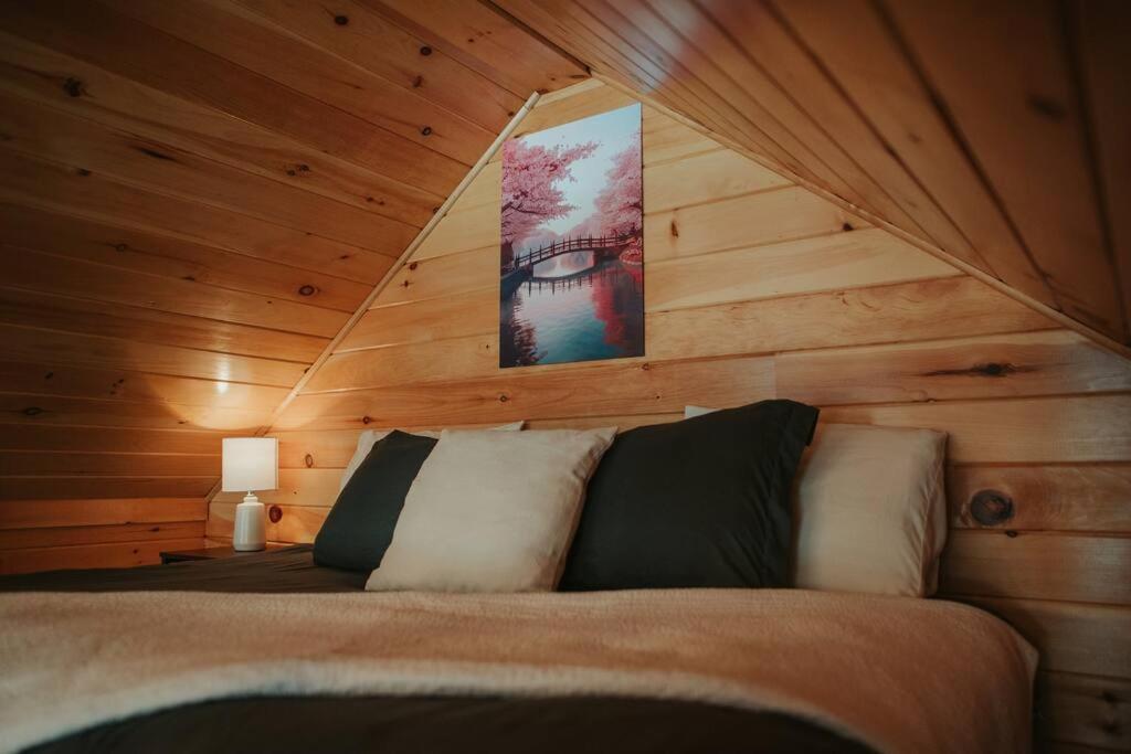 Mountainscape: Peaceful & Skiing