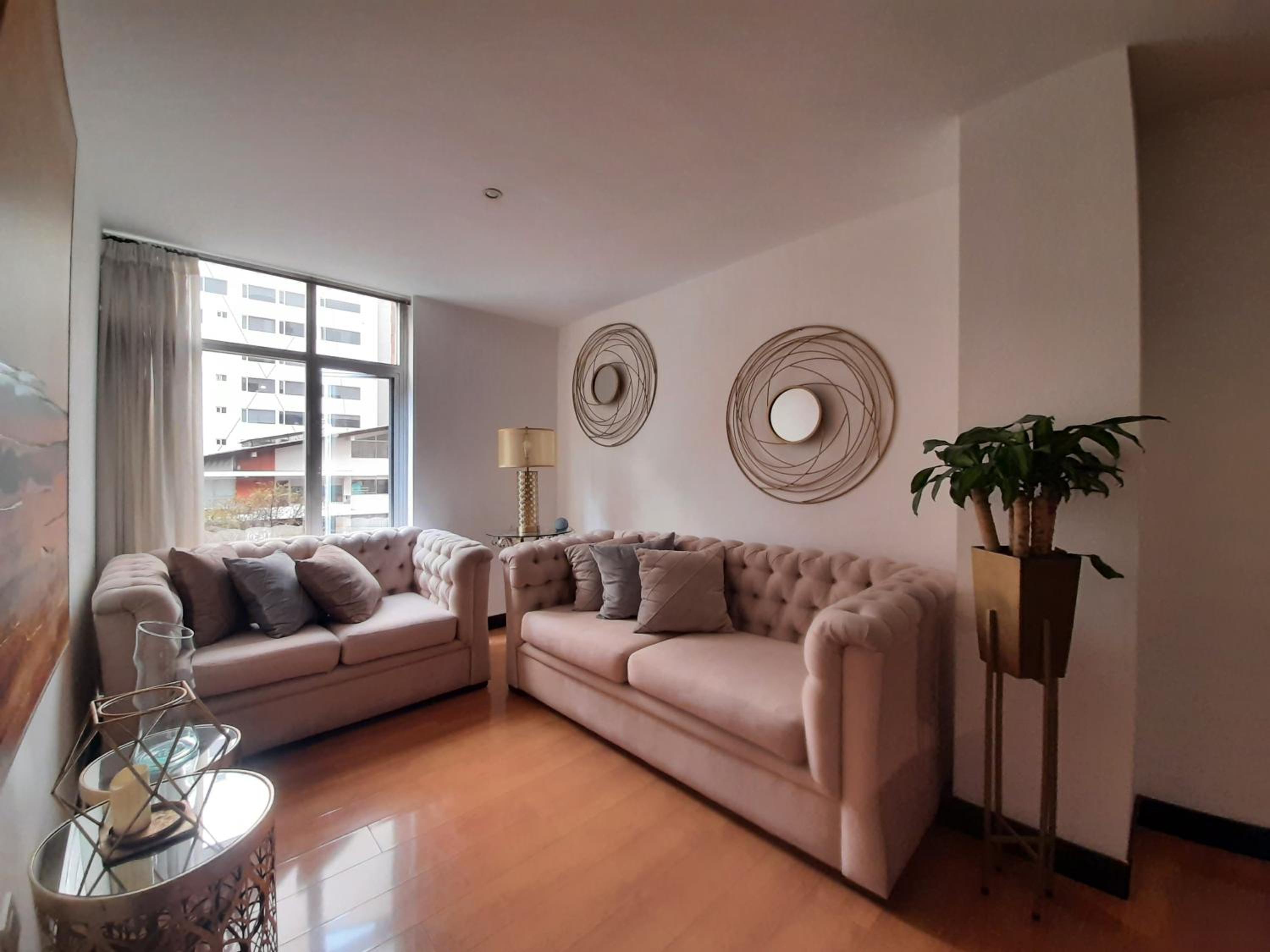 Cómodo y elegante apartamento
