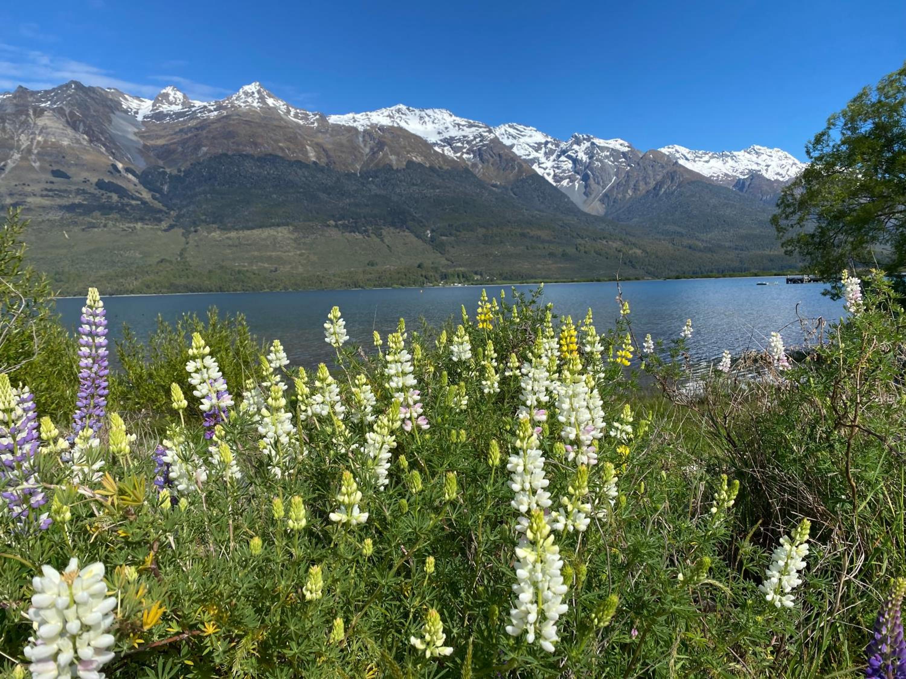 Glenorchy Retreat Apartment