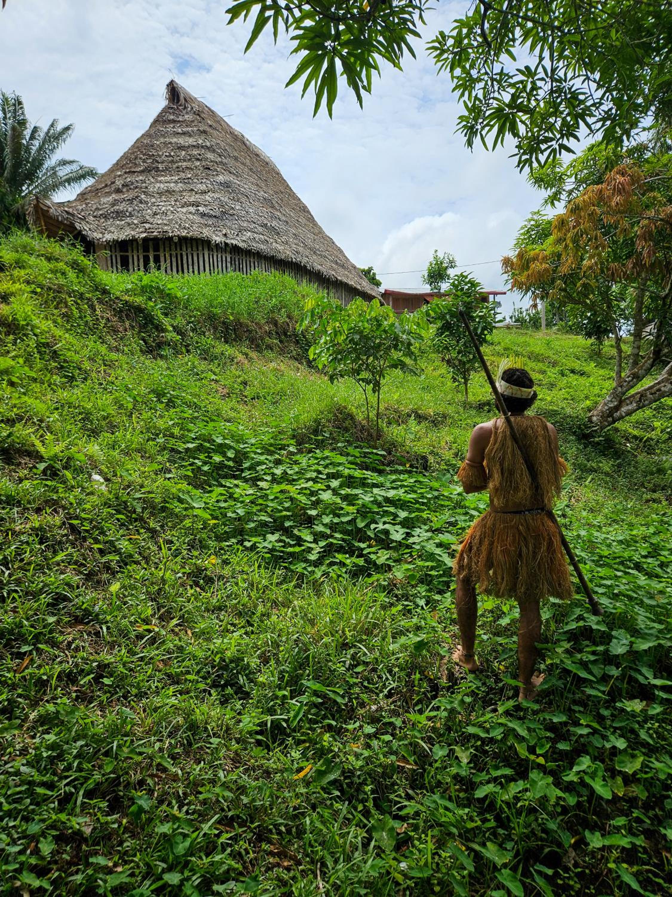 Amazon Jungle lodge -Experencia Indigena Yagua