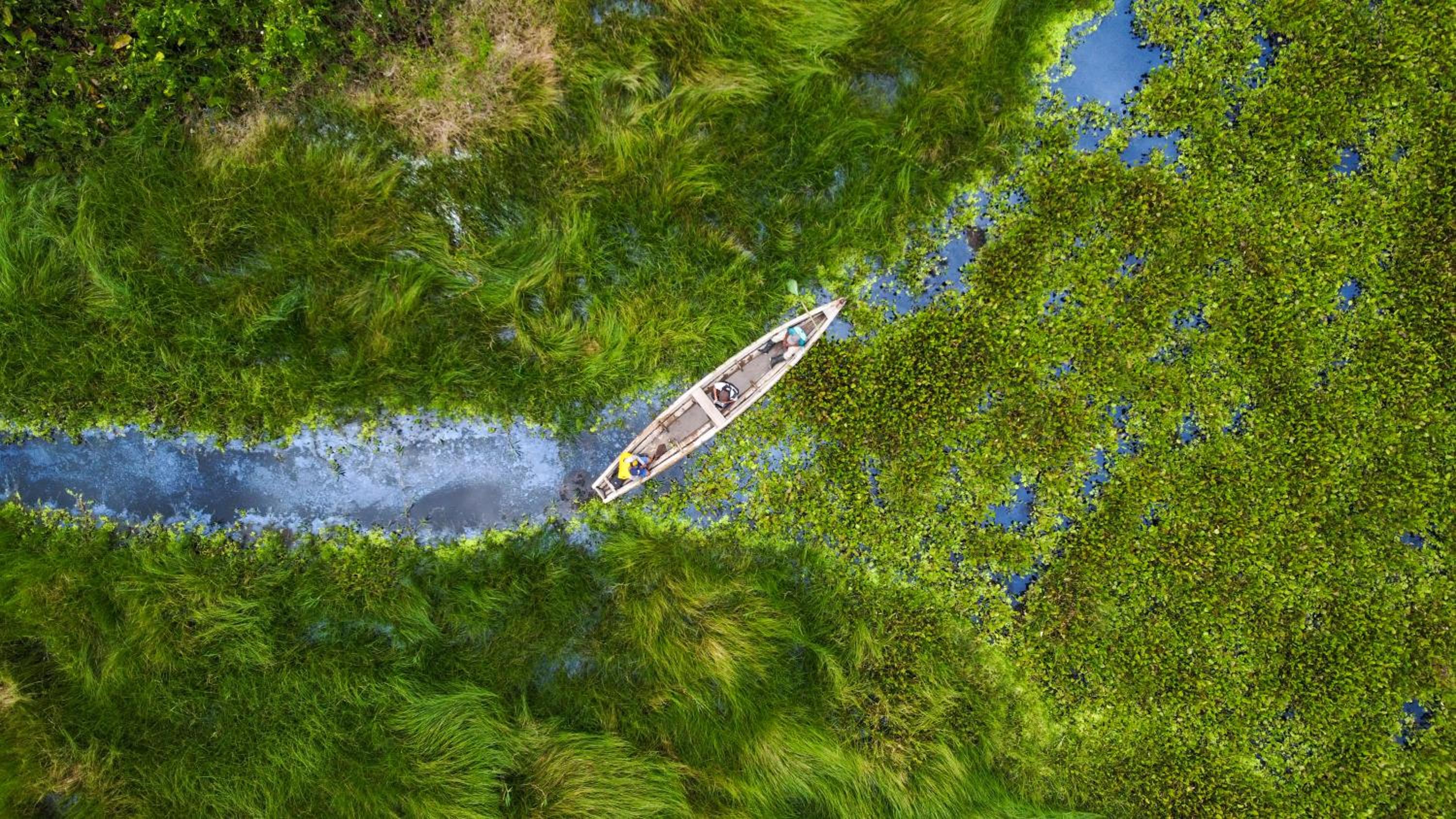 Amazon Jungle lodge -Experencia Indigena Yagua