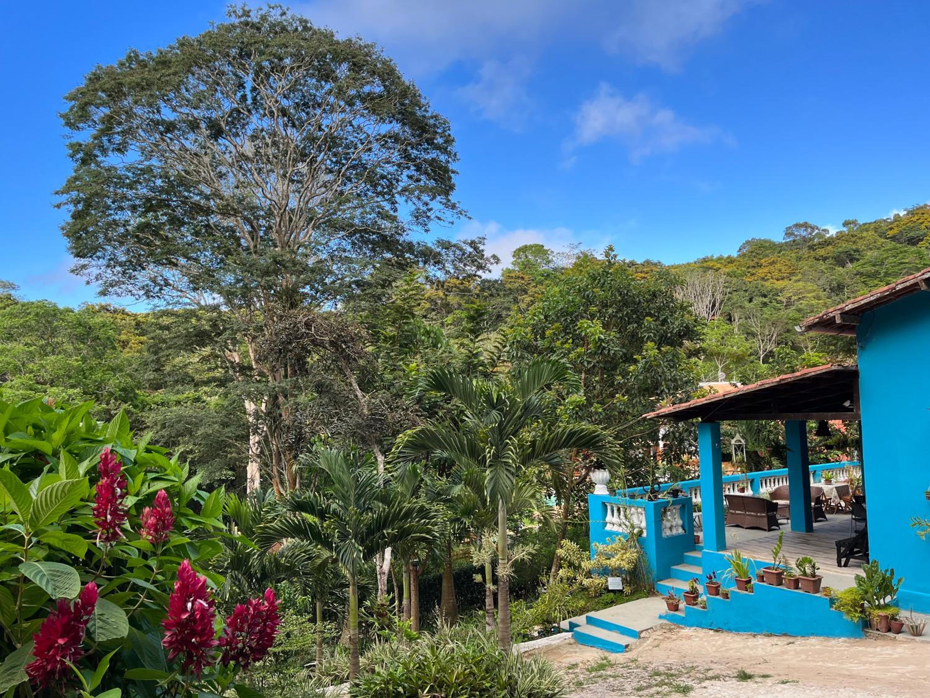 Casa Sítio Beija Flor