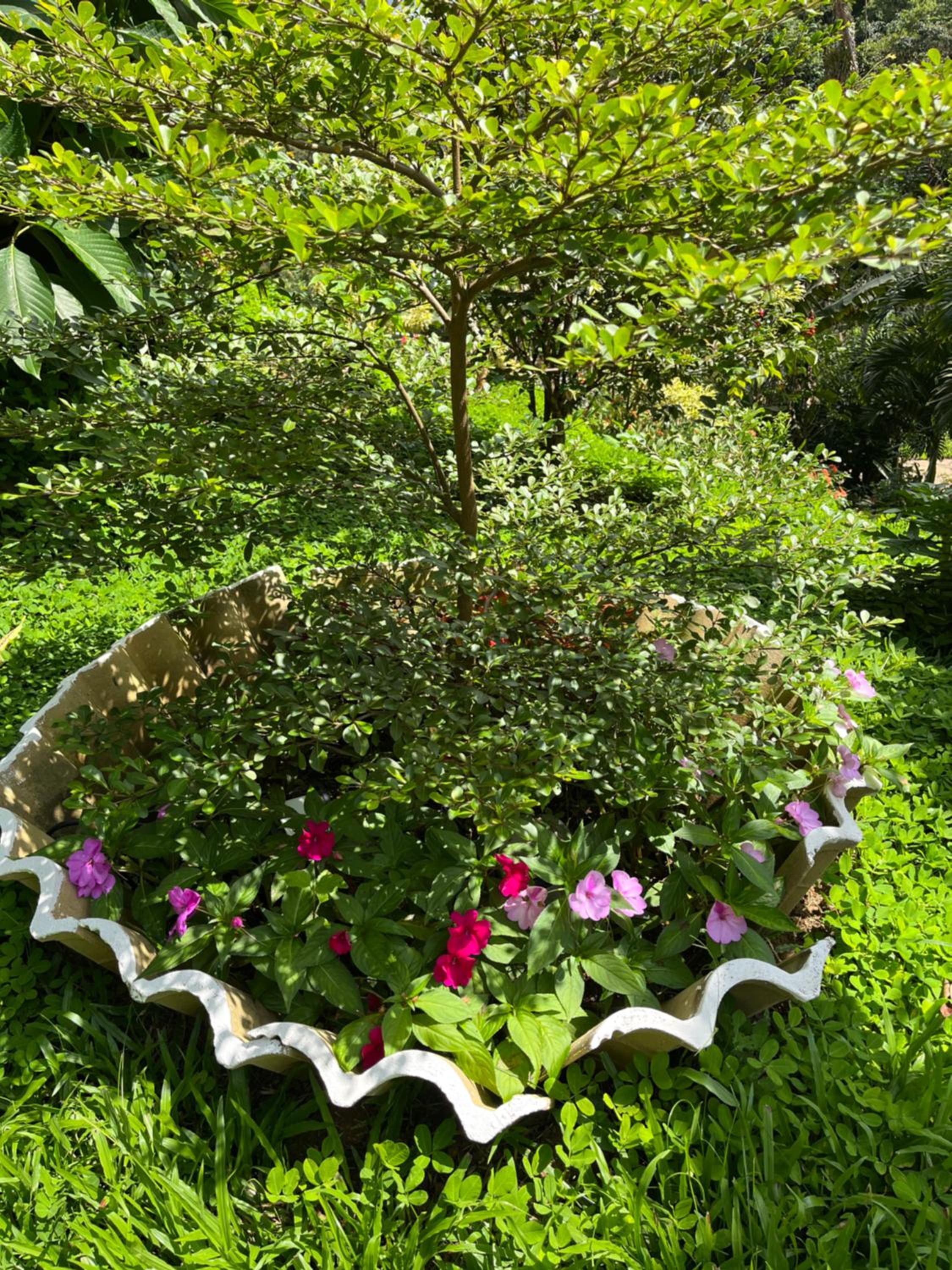 Casa Sítio Beija Flor