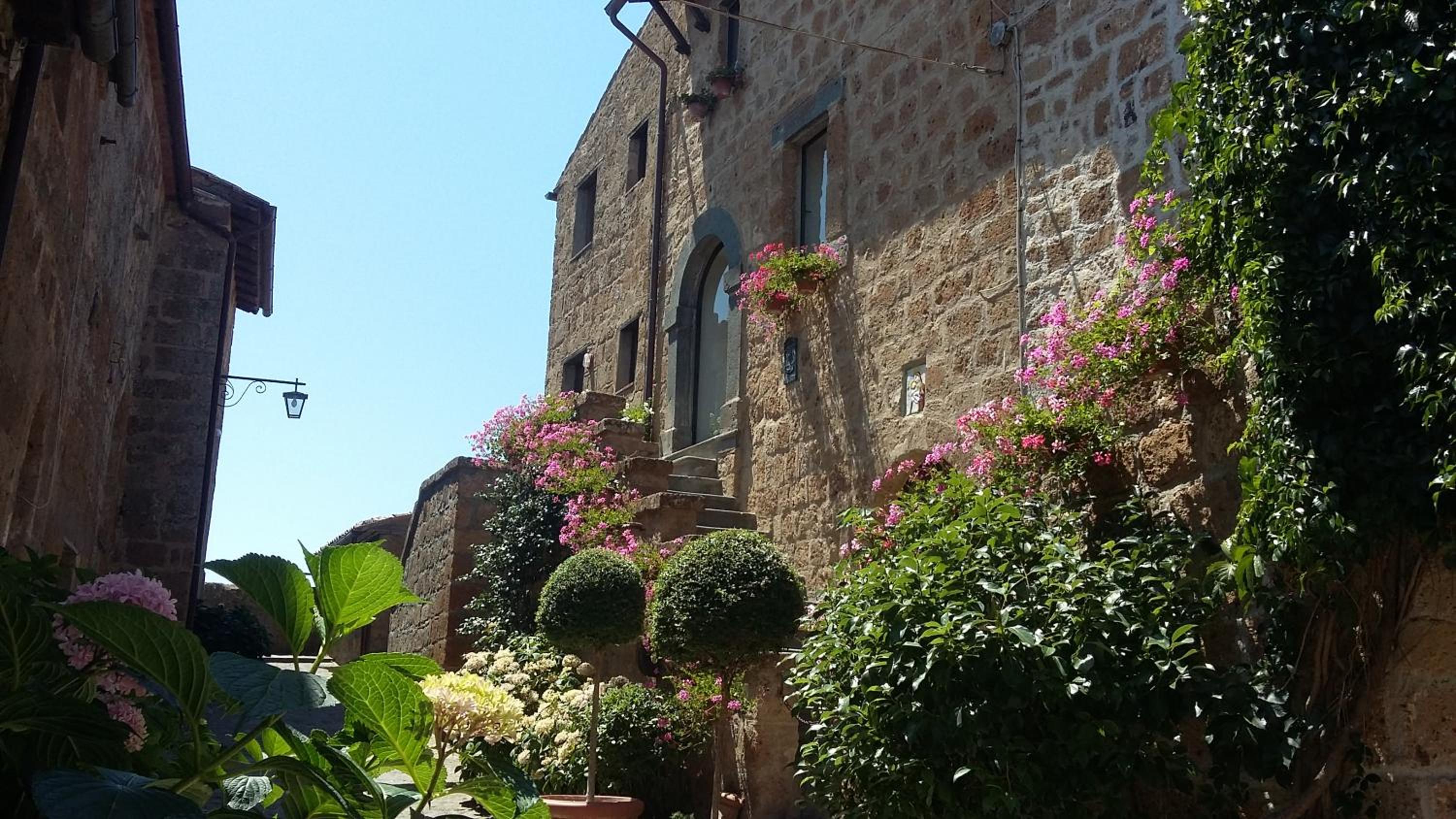 Photo 44