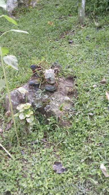 Cabaña y cascadas de agua, reconecta tus sentidos
