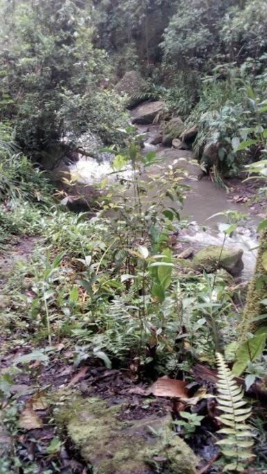 Cabaña y cascadas de agua, reconecta tus sentidos