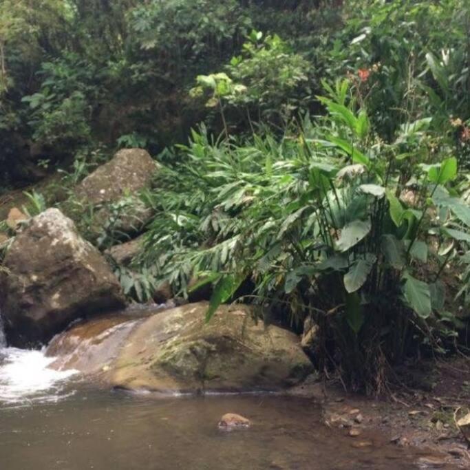 Cabaña y cascadas de agua, reconecta tus sentidos