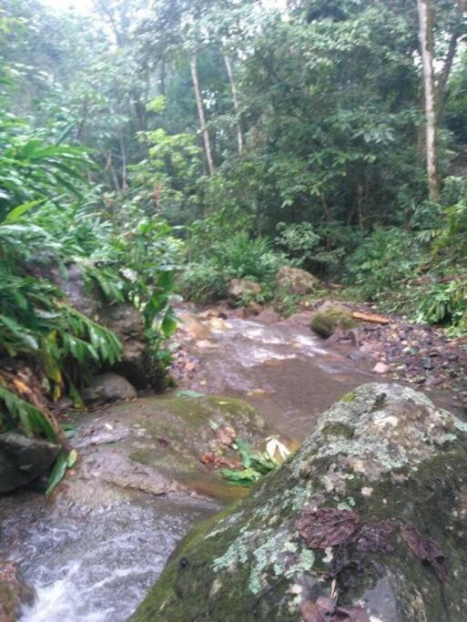 Cabaña y cascadas de agua, reconecta tus sentidos