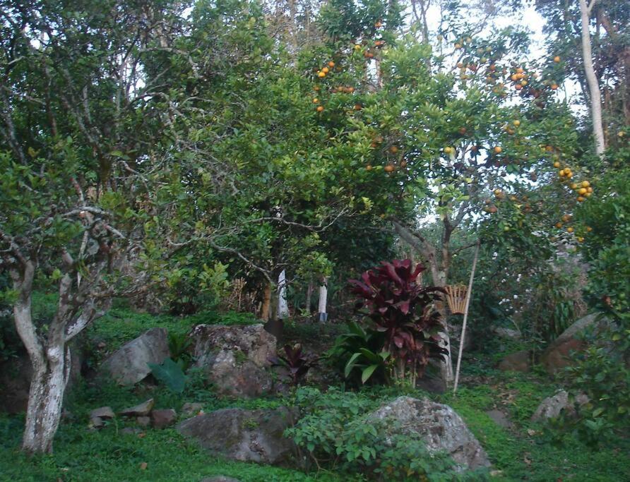 Cabaña y cascadas de agua, reconecta tus sentidos