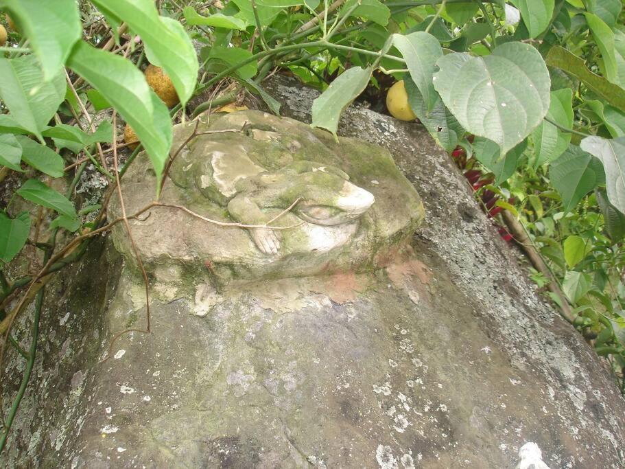 Cabaña y cascadas de agua, reconecta tus sentidos