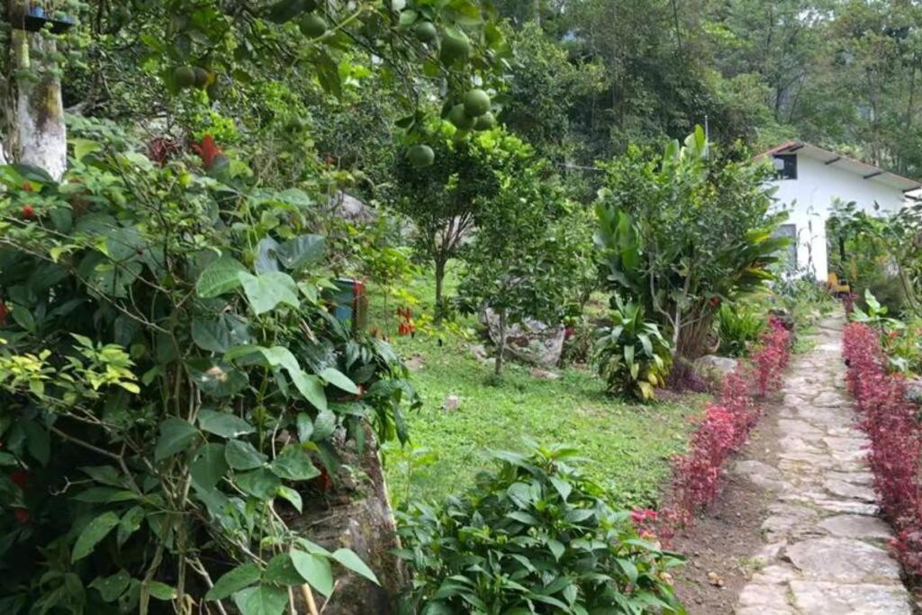 Cabaña y cascadas de agua, reconecta tus sentidos