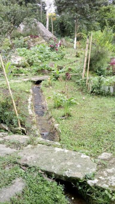 Cabaña y cascadas de agua, reconecta tus sentidos