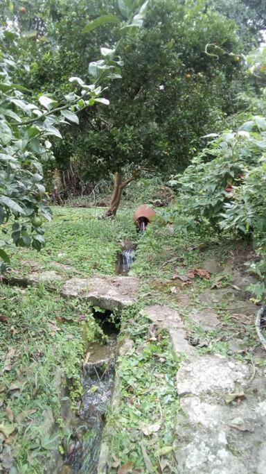 Cabaña y cascadas de agua, reconecta tus sentidos