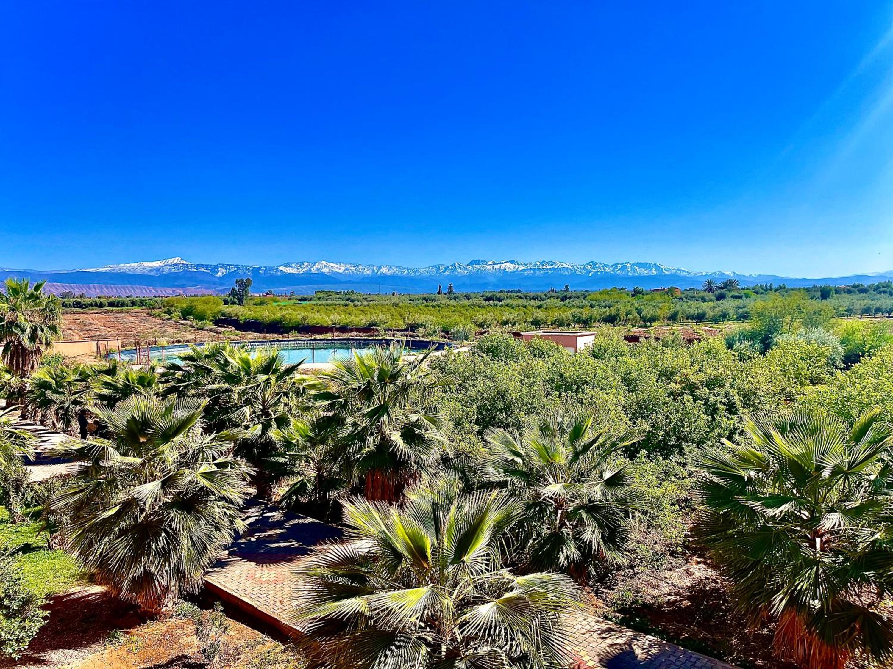 Domaine Bahi - Domaine Privé 28 personnes Piscine & Jardins 35 mins Marrakech view 2