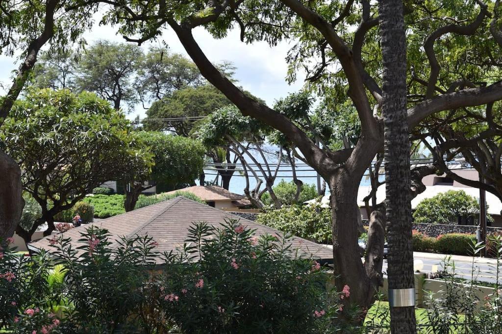 Maui Vista one bedroom across the street from Kam1 beach shops and restaurants view 5