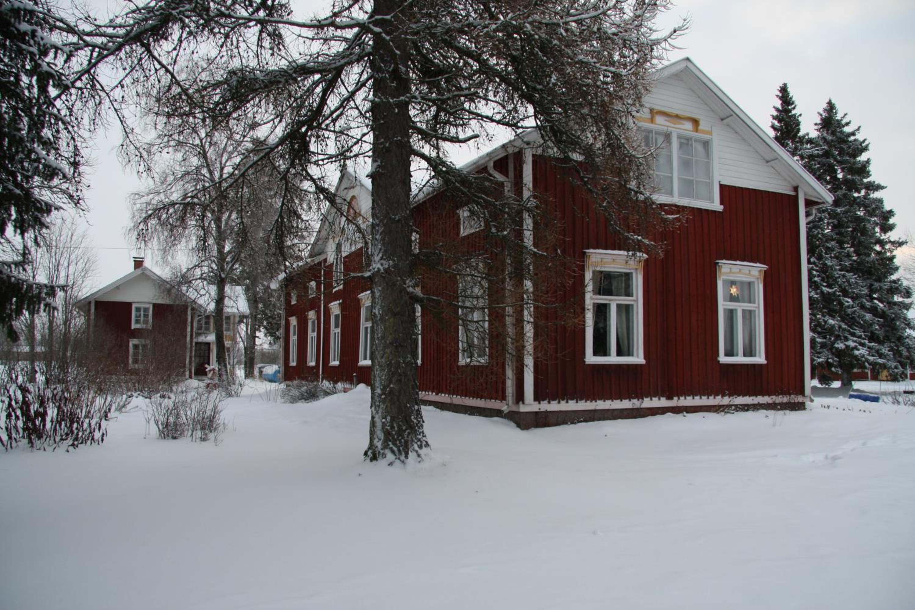 Photo 41