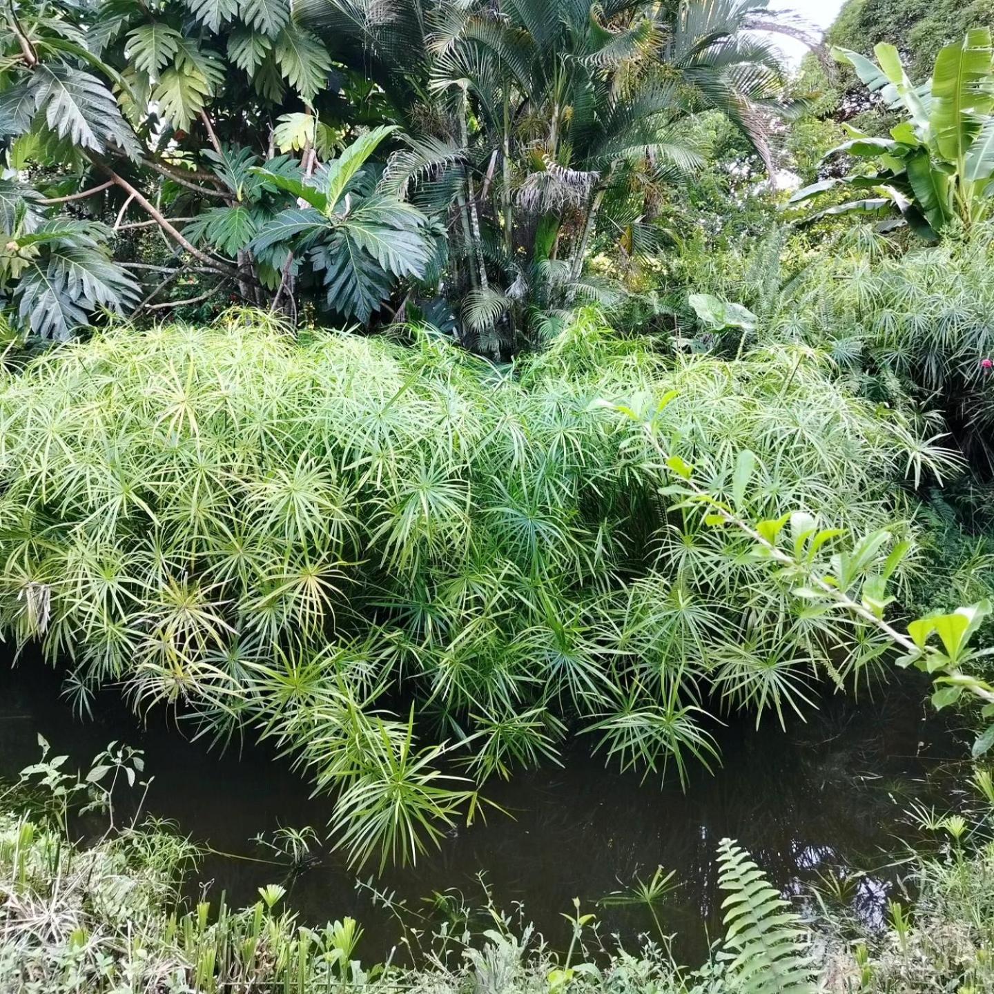 Campo Duro Ecolodge