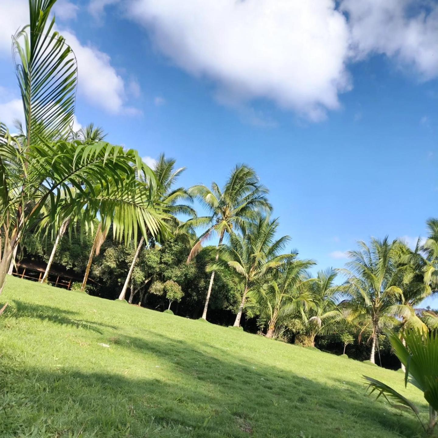 Campo Duro Ecolodge