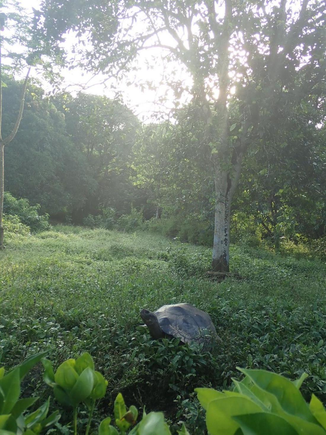 Campo Duro Ecolodge