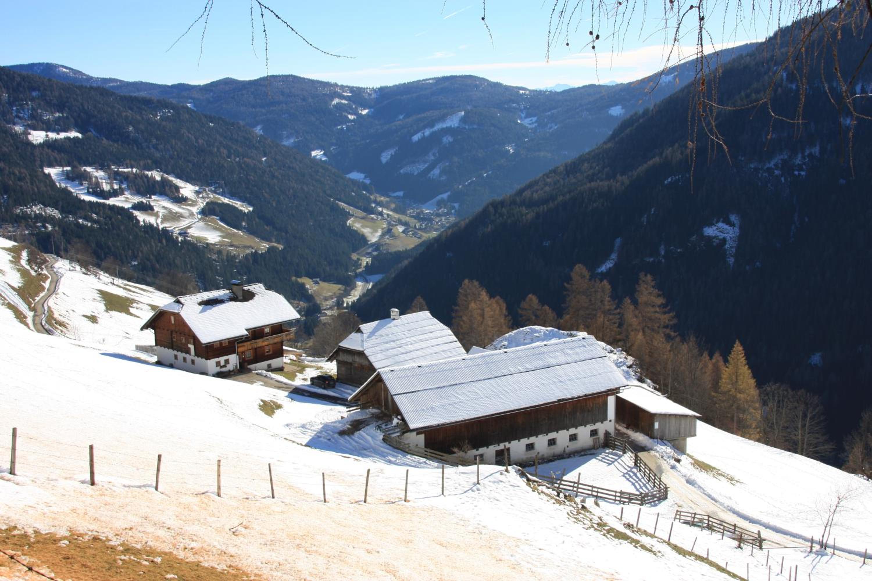Schrunerhof