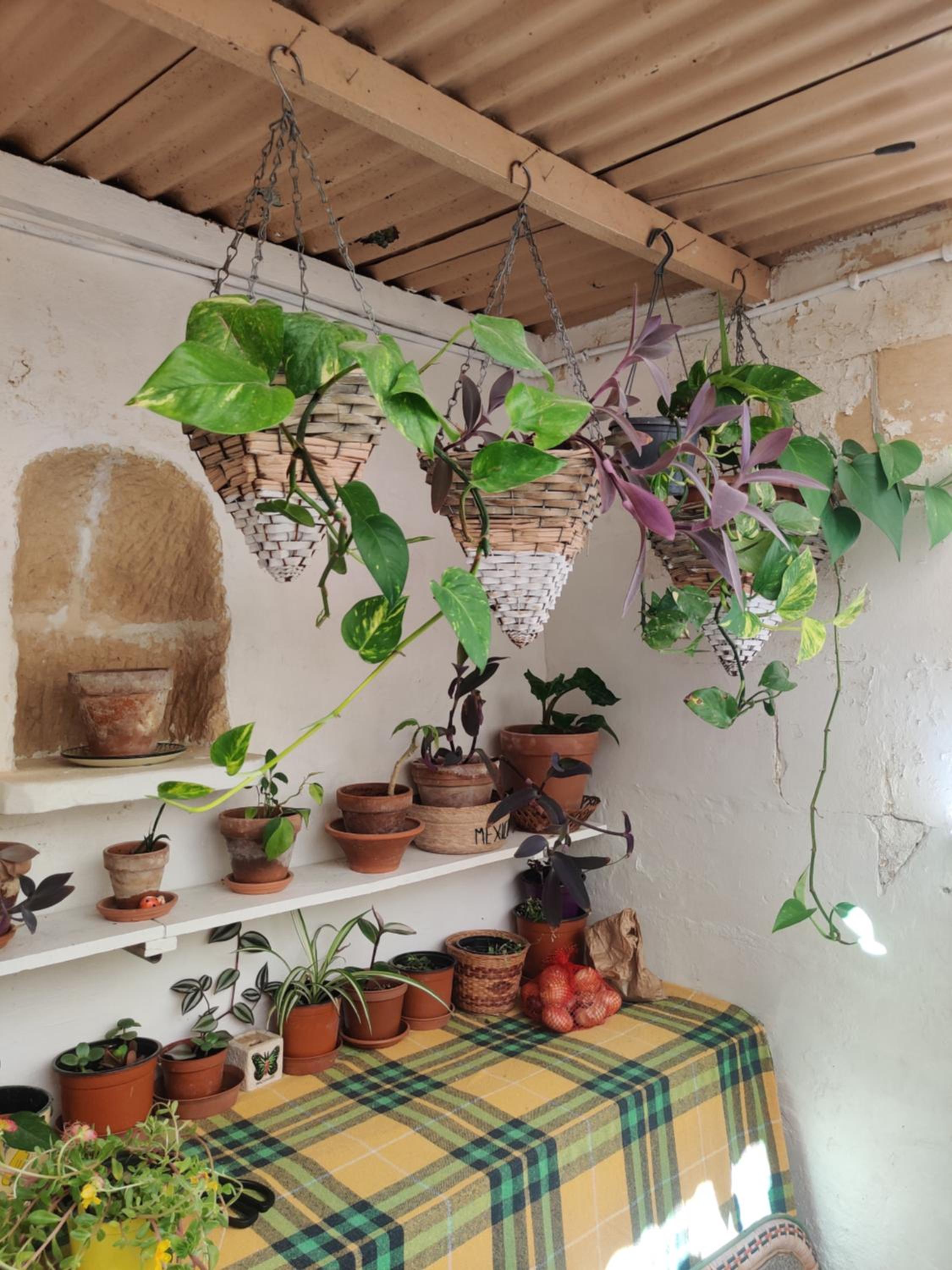 Cute Townhouse in Maltese Village Close To St Peters Pool