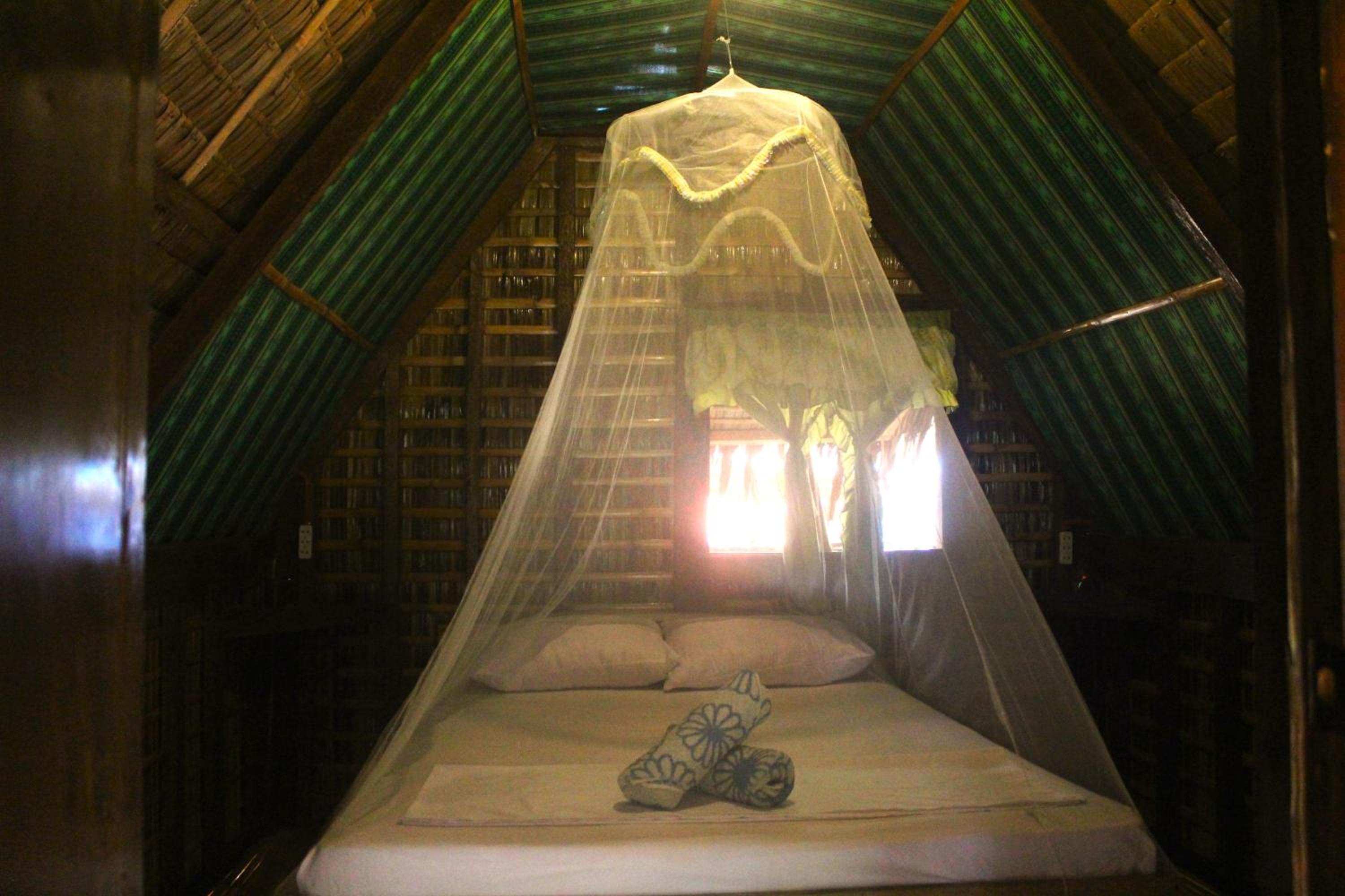 Photo 47