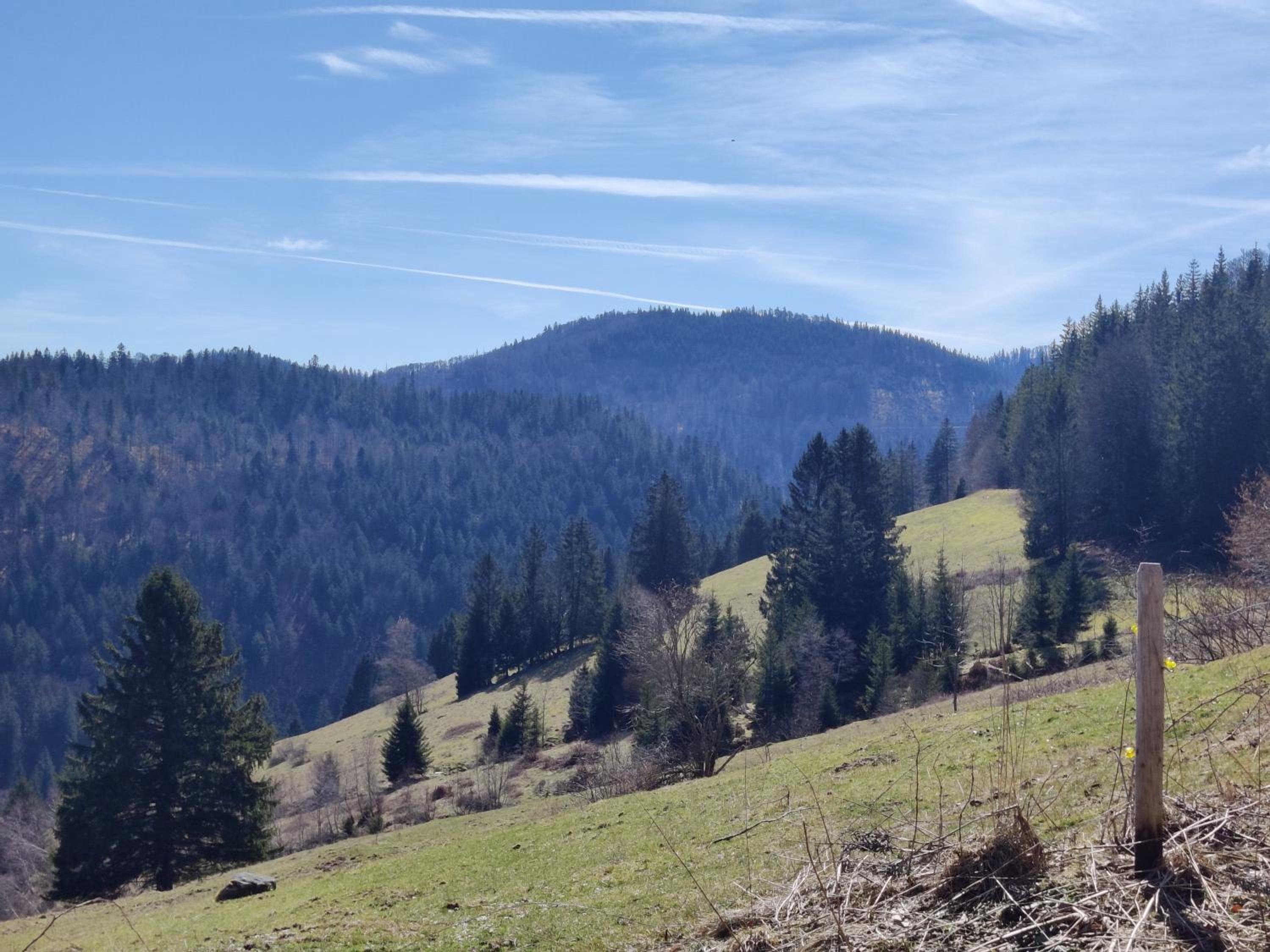Berggasthaus Präger Böden view 5