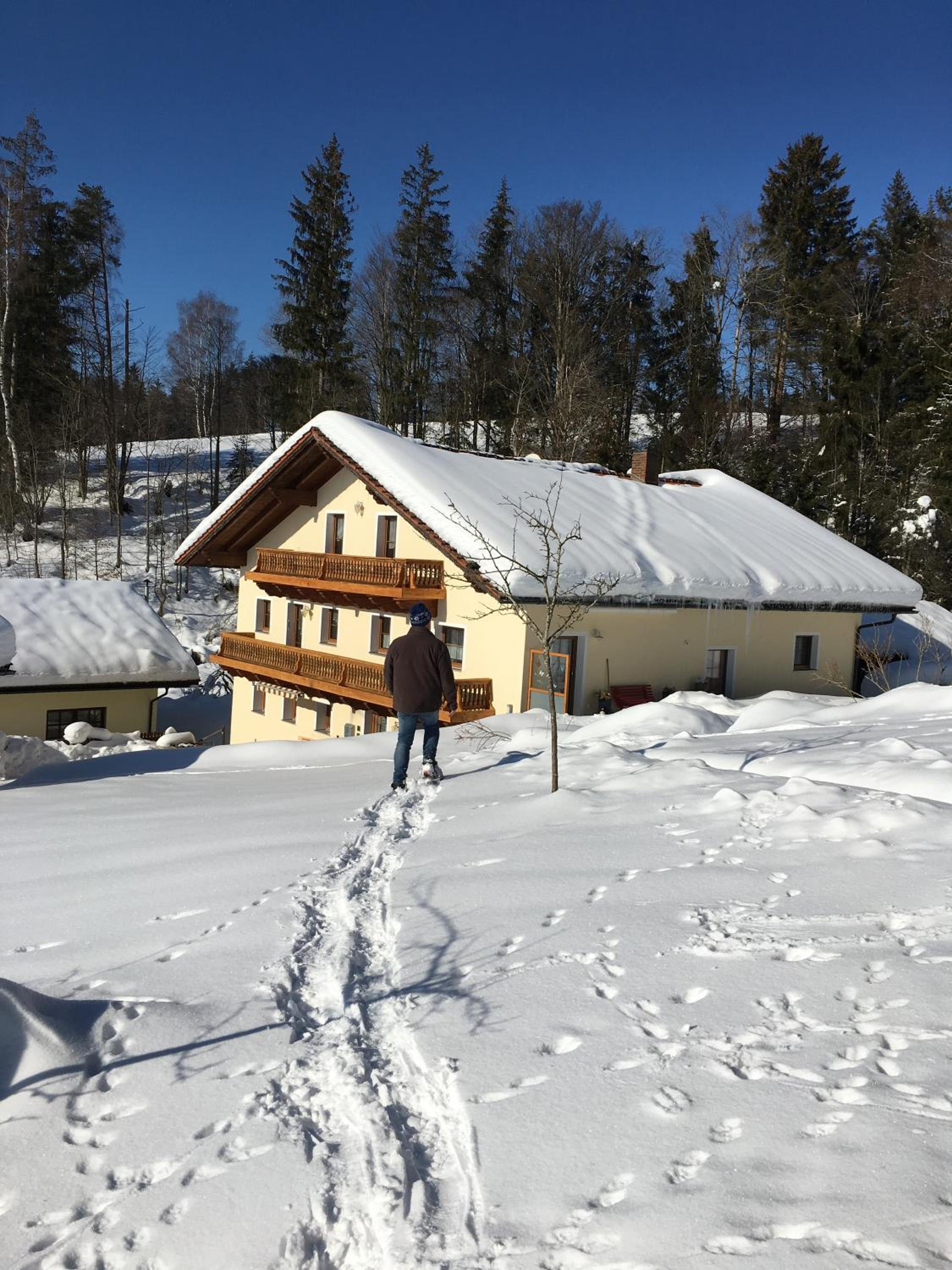 Haus Peschl Fewo 1