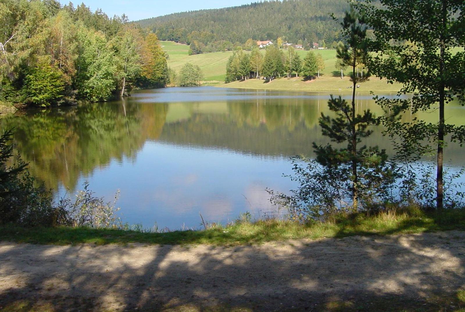 Haus Peschl Fewo 1