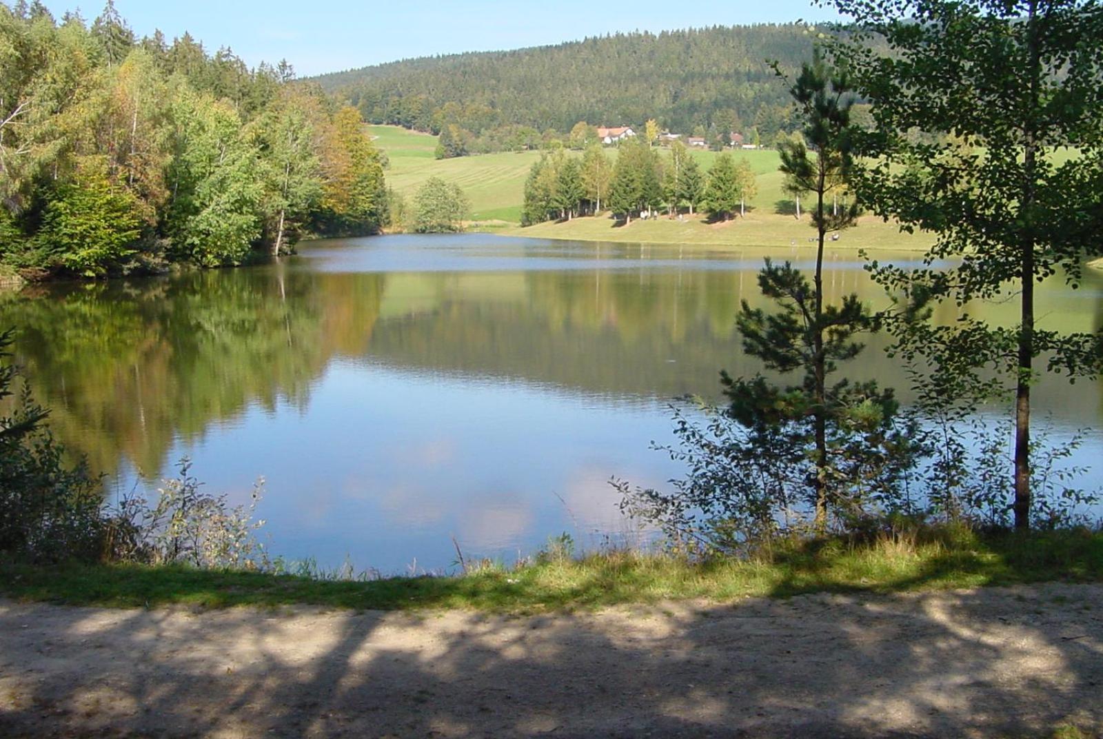 Haus Peschl Fewo 2