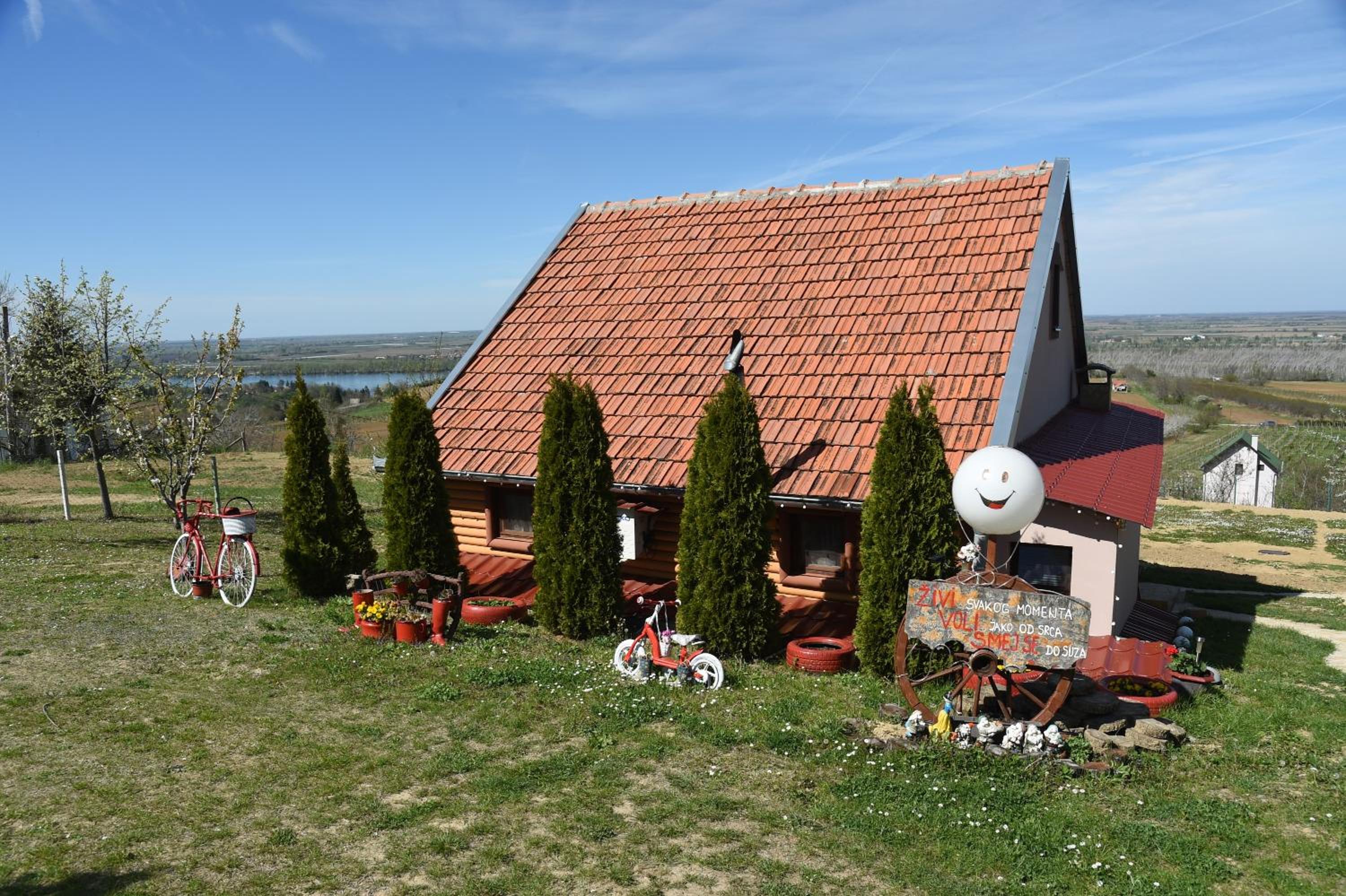 Kuća Čerevićki Vidikovac view 5