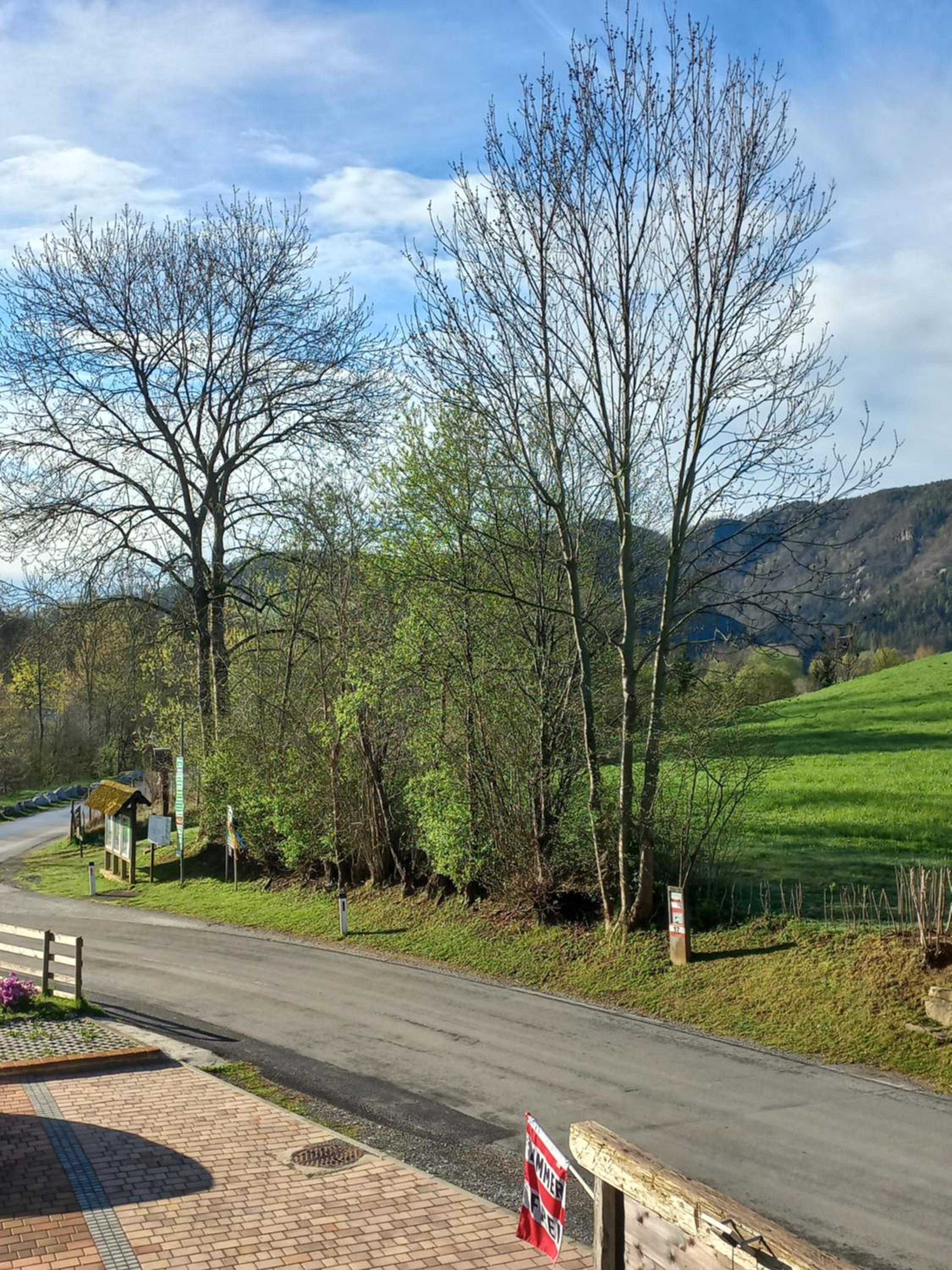 Tiefala's Eck