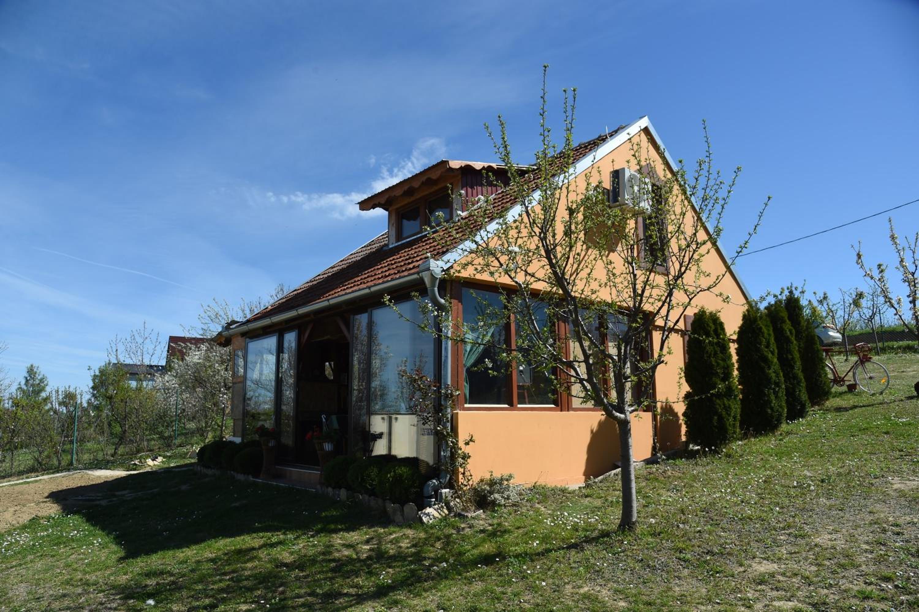 Photo 6