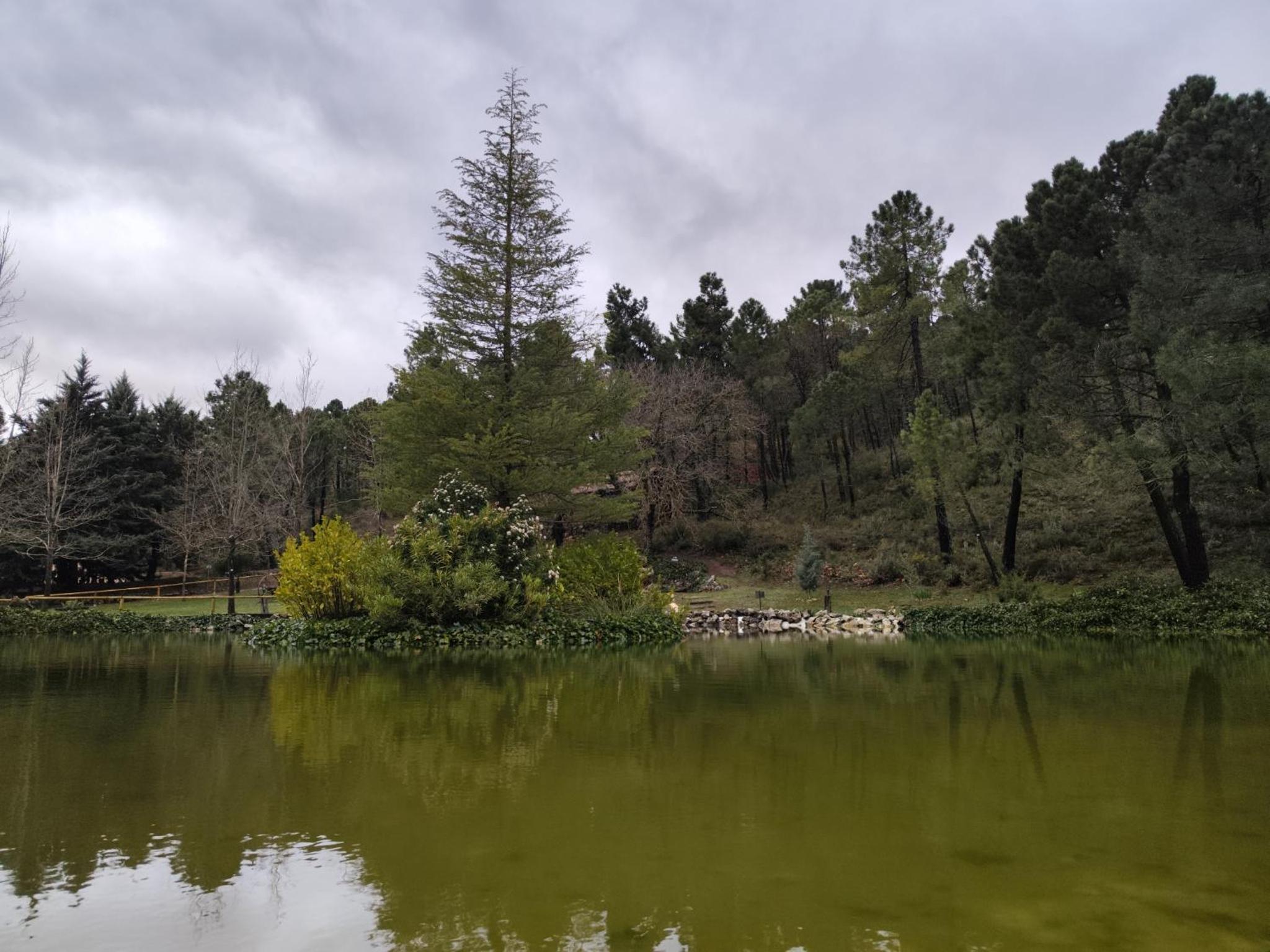 Cabaña los chorros