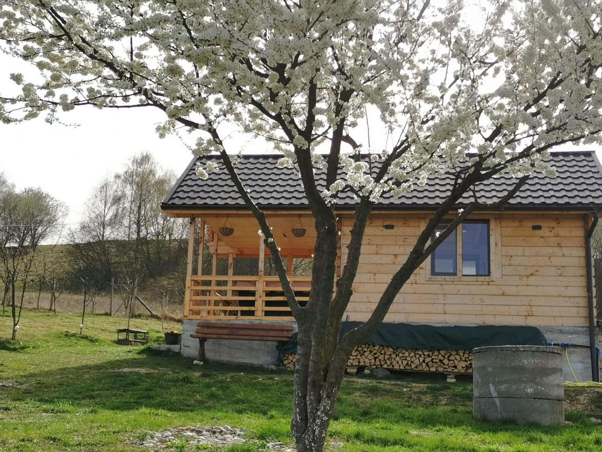 Stefana's Tiny House Nature Retreat view 3