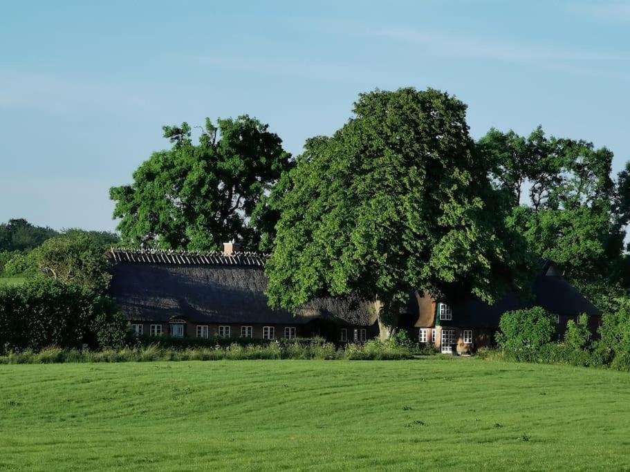 Hof Osterfeld