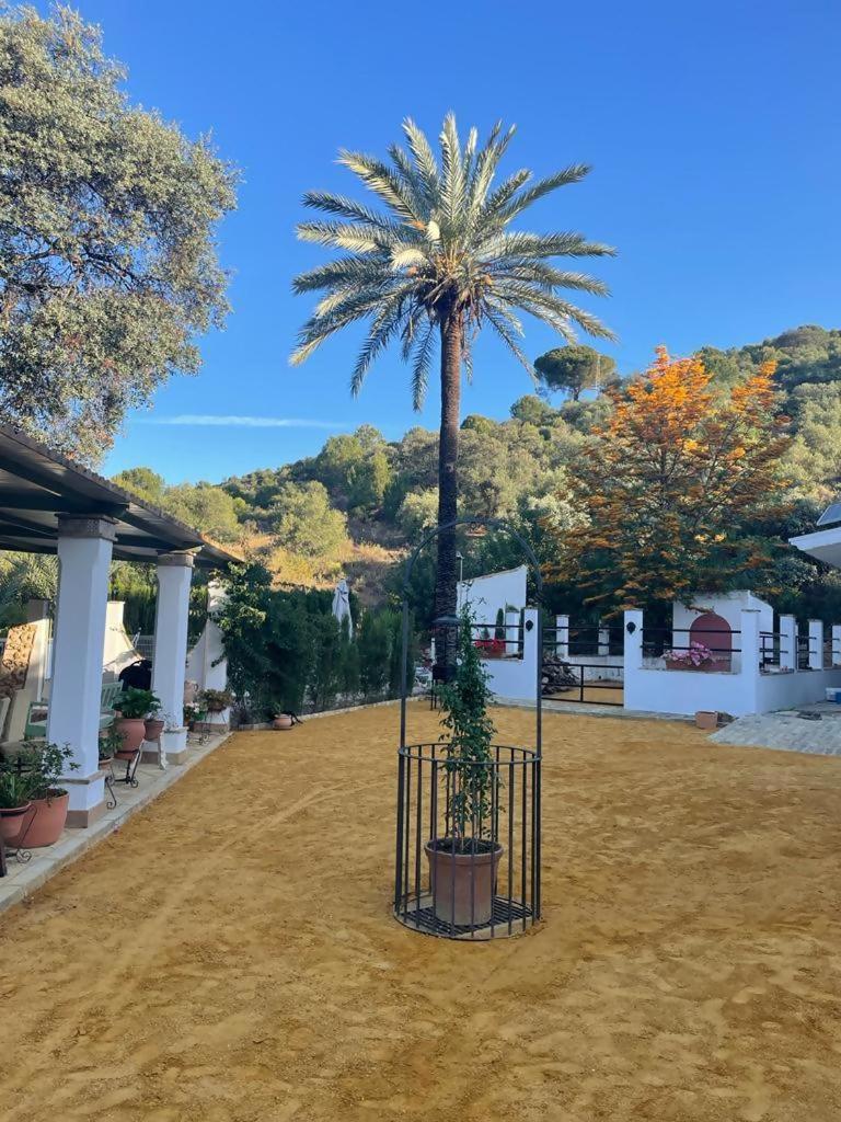 Casa Rural Los Menestrales