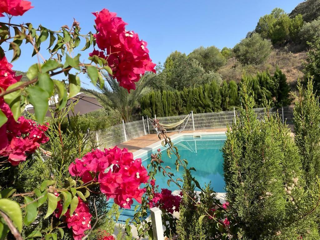 Casa Rural Los Menestrales