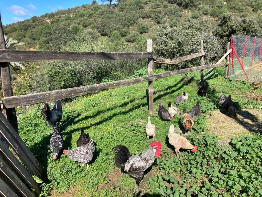 Casa Rural Los Menestrales