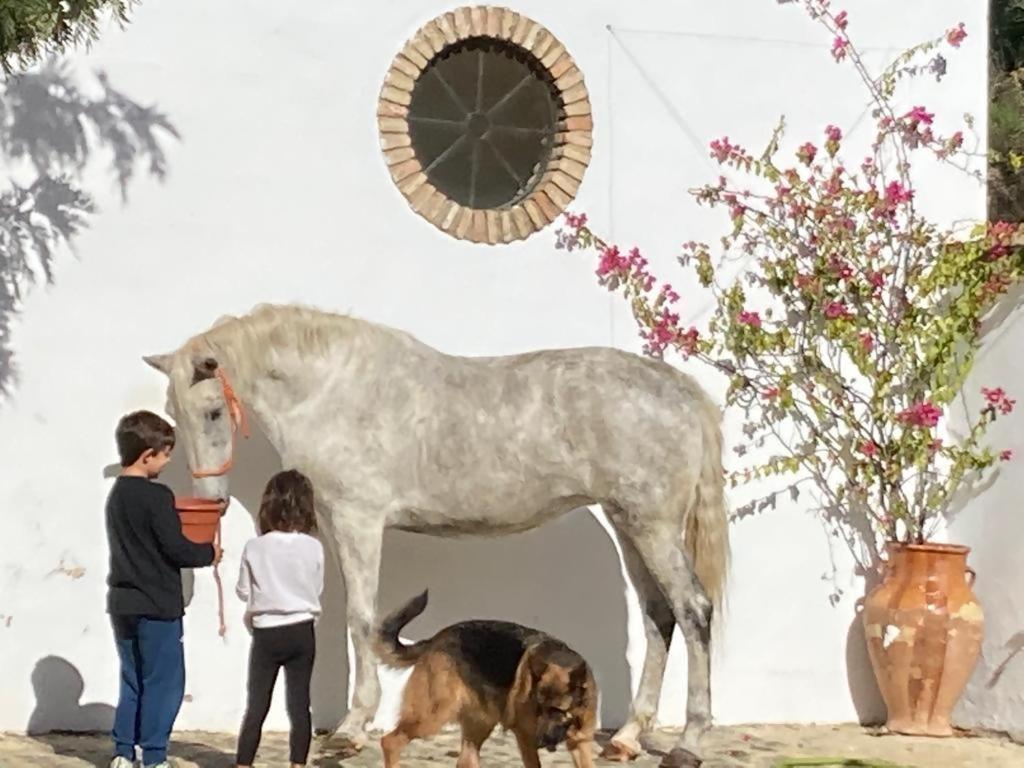 Casa Rural Los Menestrales